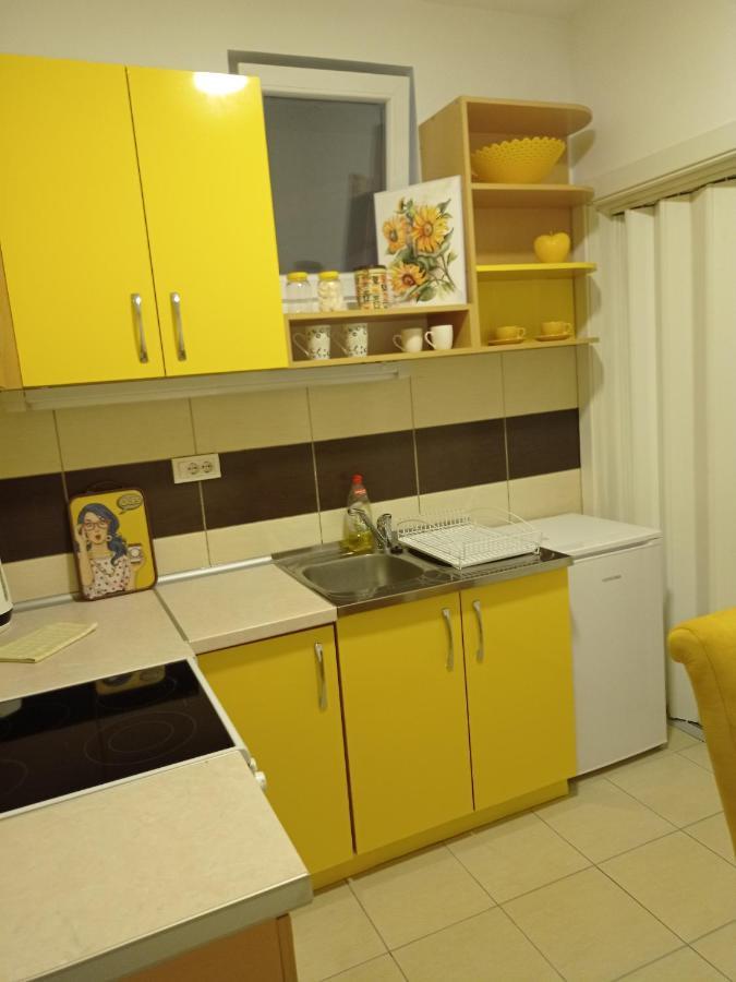 Apartman Sunflower Szávaszentdemeter Kültér fotó
