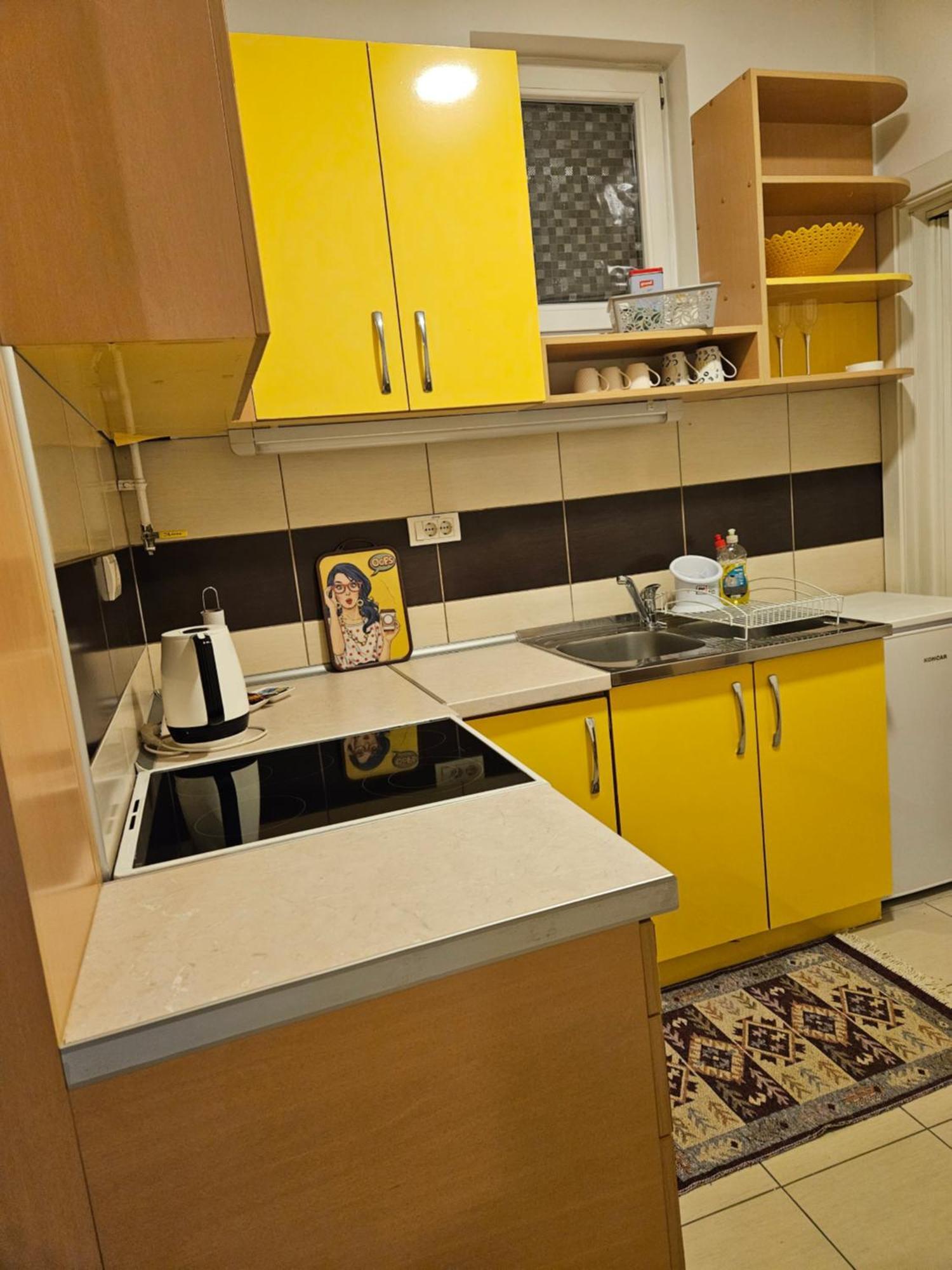 Apartman Sunflower Szávaszentdemeter Kültér fotó